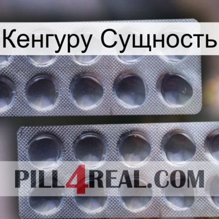 Кенгуру Сущность 31